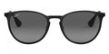 Ray-Ban™ Erika Metal 8053672587685 - Black