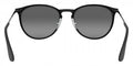 Ray-Ban™ Erika Metal 8053672587685 - Black