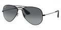 Ray-Ban™ 8053672673470 - Black