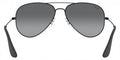 Ray-Ban™ 8053672673470 - Black