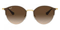 Ray-Ban™ 8053672771169 - Brown On Arista