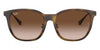 Ray-Ban™ RB4333D 710/13 55 - Light Havana and Gold