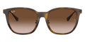 Ray-Ban™ RB4333D 710/13 55 - Light Havana and Gold