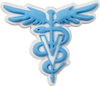 Vet Symbol